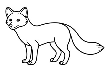 Obraz premium Wild Arctic Fox Vector