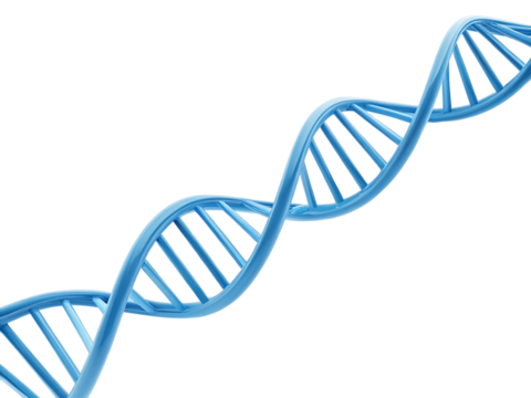 DNA Helix Isolated on White Background PNG | Science Graphic, Biology Illustration, Medical Research, Genetic Code, Healthcare Element