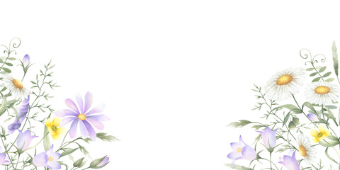 Watercolor wildflowers chamomile, bellflower, buttercup, mouse pea and meadow grasses. Hand drawn isolated rectangular horizontal frame illustration of yellow lilac flowers with copy space, banner.