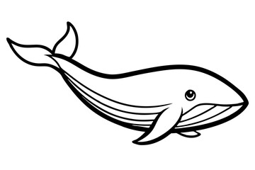 Whale Outline Illustration