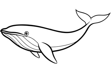 Whale Outline Illustration