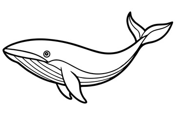 Whale Outline Illustration