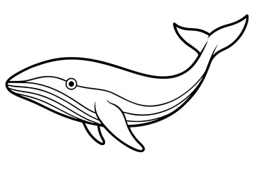 Whale Outline Illustration