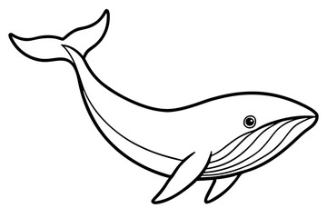 Obraz premium Whale Outline Illustration