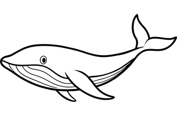 Whale Outline Illustration