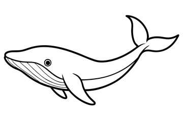 Whale Outline Illustration