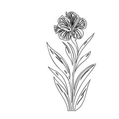 Elegant floral line drawing illustration on white background artistic vector art