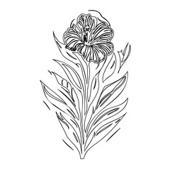 Elegant botanical illustration featuring a single flower with stylized leaves art