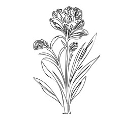 Elegant single-line drawing of a blossoming flower with delicate details and foliage