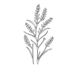 Botanical minimalist line art illustration featuring elegant symmetrical flora design