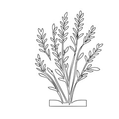 Minimalist botanical line art depicting sprigs of lavender in a simple base