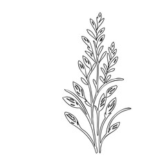 Minimalist Botanical Illustration: A Delicate Arrangement of Leaves and Stems