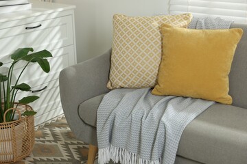 Soft decorative pillows and blanket on sofa in room