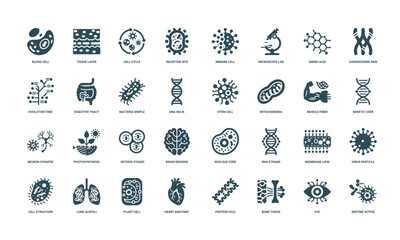 collection biology-themed icons cellular processes anatomical structures molecular components, Photosynthesis Nucleus Mitosis Brain