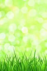 Obraz premium Lush green grass against a vibrant bokeh background creating a serene spring mood nature freshness growth bright light peaceful