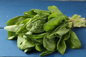 Bunch of fresh green sorrel leaves on blue wooden table, closeup