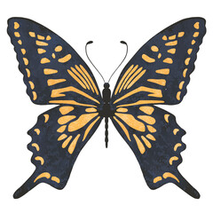 Vector watercolor butterfly silhouette drawing. Cute summer insect isolated illustration.