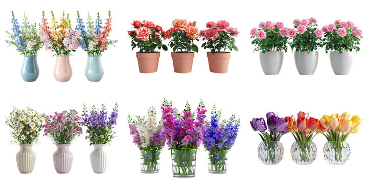 Colorful Flower Arrangements in Vases