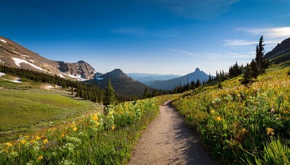 hiking trail in montana