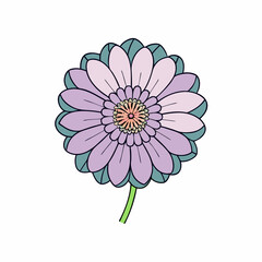 Fototapeta premium pink daisy flower