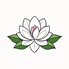 pink lotus flower