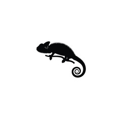 chameleon silhouette on white background
