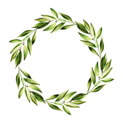 Green bay leaf wreath, logo. Watercolor hand drawn Branch of laurel illustration isolated on transparent background. For designers, menu, decoration, food blog, ecofriendly branding. Healthy