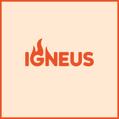 IGNEUS Logo - Strong Flame-Inspired Wordmark For Fire Brand Identity