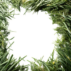 Mix of green cut wild grass forming a frame isolated on white background and texture, top view --v 7.0