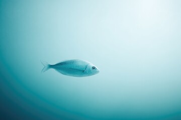 Fototapeta premium minimalistic capture of single fish swimming against backdrop of clean undisturbed water