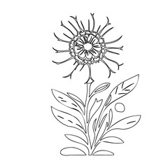 Delicate botanical outline of a unique floral arrangement against a plain background