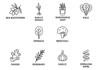 antioxidant extracts supplement aesthetic concept. Various superfoods illustrated in a grid format.