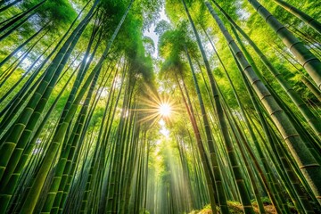 Fototapeta premium Lush Green Bamboo Forest Landscape: Eco-Friendly Nature Background Images