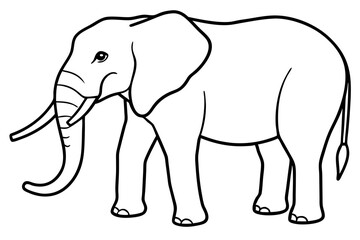 Obraz premium Trendy Elephant Vector Art
