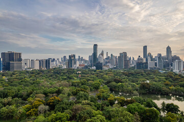 Beautiful aerial view of green park with a city skyline featuring numerous tall buildings in the heart of a metropolis, beneath a cloudy sky.