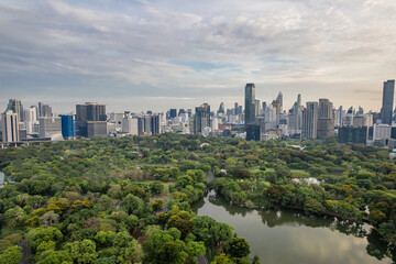 Fototapeta premium Beautiful aerial view of green park with a city skyline featuring numerous tall buildings in the heart of a metropolis, beneath a cloudy sky.