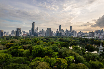 Obraz premium Beautiful aerial view of green park with a city skyline featuring numerous tall buildings in the heart of a metropolis, beneath a cloudy sky.