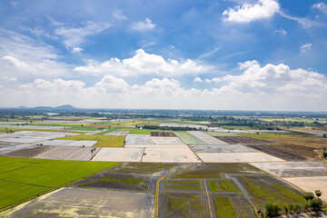 Aerial view with the  landscape geometry texture of a lot of agriculture fields in Thailand. Farming and agriculture industry.