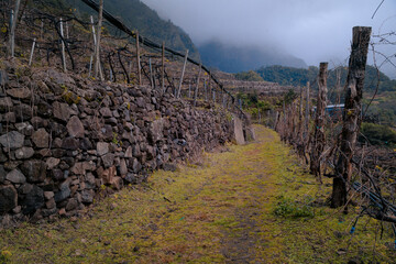 Quinta do Barbusano
