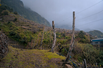 Quinta do Barbusano