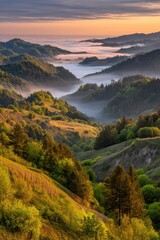 Fototapeta premium Serene valley landscape with morning fog and golden light illuminating the rolling hills and lush forest