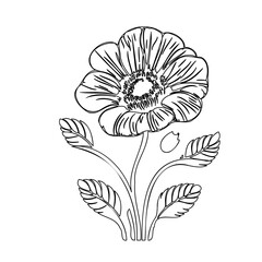 Botanical illustration depicting a detailed monochrome flower on white background