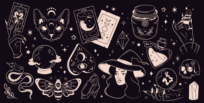 Mystical and witchcraft hand drawn elements. Skull,tarot cards, hand, witch, potion, cat, fortune ball. Halloween stickers set.