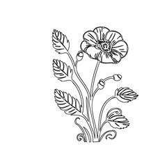 Elegant outline of a botanical drawing: a wildflower blossom and foliage composition