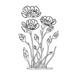 Elegant floral illustration featuring delicate blooms and intricate foliage details