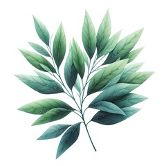watercolor green leaves isolated on white background