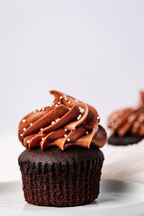 chocolate cupcake with icing