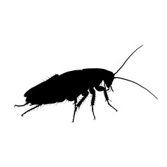cockroach silhouette – vector illustration