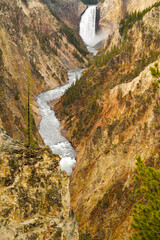 Lower Falls in Yellowstone National Park