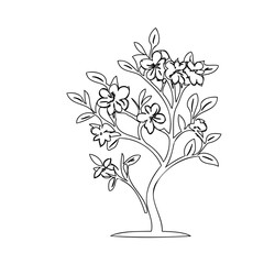 Elegant monochromatic floral line art illustration of blooming tree branch